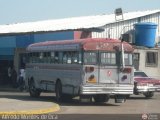 Colectivos Guana C.A.
