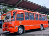 Transporte Carache 02