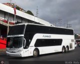 Expresos Flamingo 0113