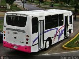 Unin Victoria 15, por Brayner Tovar