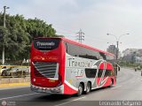 Transzela 447 por Leonardo Saturno