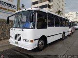 Organizaci�n Guaicamacuto 415