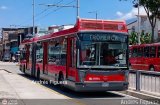Trolmerida - Tromerca 16, por Andrs Figuera