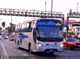 E.T. Maleo VIP (Per) 953A, por Leonardo Saturno