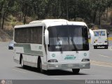 Servicios Especiales del Centro C.A. 08