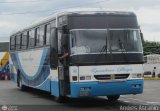 Ejecutivos Boga 28, por Andrs Ascanio