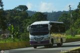 Coop. de Transporte Coromoto 86
