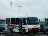 AN - A.C. de Conductores Mundo Nuevo 909, por Aly Baranauskas