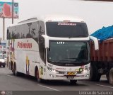 Expreso Internacional Palomino 7023, por Leonardo Saturno