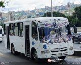 Uni�n Chara A.C. 172, por Daniel Fern�ndez