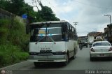 MI - Lnea Miranda 125