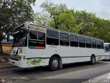 Transporte El Esfuerzo 17 por �ngel Sal�n