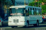 Coop. Transporte Menca de Leoni 108