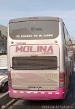 Turismo Molina Unin S.A.C. (Per)