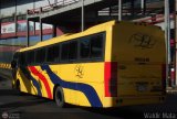 Expresos Los Llanos 459