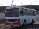 Expresos La Gran Colombia 25