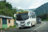 A.C. Lnea Coln 23
