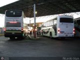 Garajes Paradas y Terminales Carupano