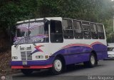 Transporte Privado Joaranny 195