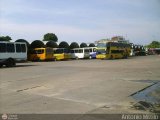 Garajes Paradas y Terminales San-Fernando