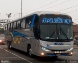 E.T. Maleo VIP (Per) 962