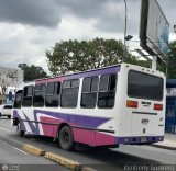 A.C. de Conductores Rosario de Paya 106, por Kimberly Guerrero