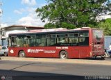 TransApure 31, por Antonio Mittilo