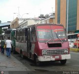 MI - Lnea Terepaima 104, por Jesus Valero