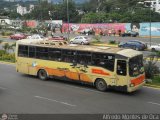 Expresos Colexven