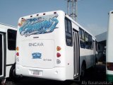 Transporte Virgen del Carmen 34