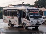 Transporte Gonzlez S.C.A. 1520, por Sebastin Mercado