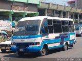ZU - Colectivo Pomona 20, por Sebastin Mercado