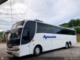 Unin Conductores Ayacucho 2038, por Luis Bentez