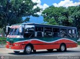 L�nea Altagracia 08 por Santiago Dorante