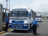 Profesionales del Transporte de Pasajeros 33