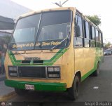 Sin identificacin o Desconocido Niobus