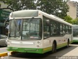 Bus CCS Materfer 23 , por Alejandro Curvelo