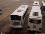Instituto Aeropuerto Internacional de Maiqueta