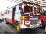 Trans Peralonso Ltda