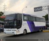 Expresos Maracaibo 2020, por Alvin Rondn