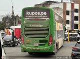 Expreso Internacional Palomino 8009 por Leonardo Saturno