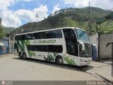 Expresos Flamingo 0141