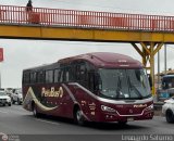 Empresa de Transporte Per Bus S.A. 439, por Leonardo Saturno