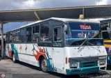 L�nea Tilca - Transporte Inter-Larense C.A. 11