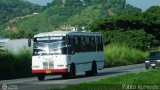 S.C. Lnea Transporte Expresos Del Chama 038