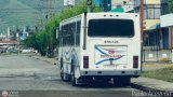 CA - Autobuses de Santa Rosa