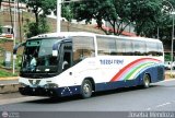 Colectivos Tierra Firme 2400