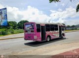 Uni�n de Conductores Unidos S.C. 028