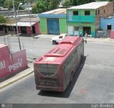 Bus Cuman 5383, por Luis Bentez