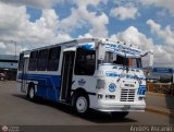 A.C. Unin Palo Negro (U.P.N.) 041, por Andrs Ascanio